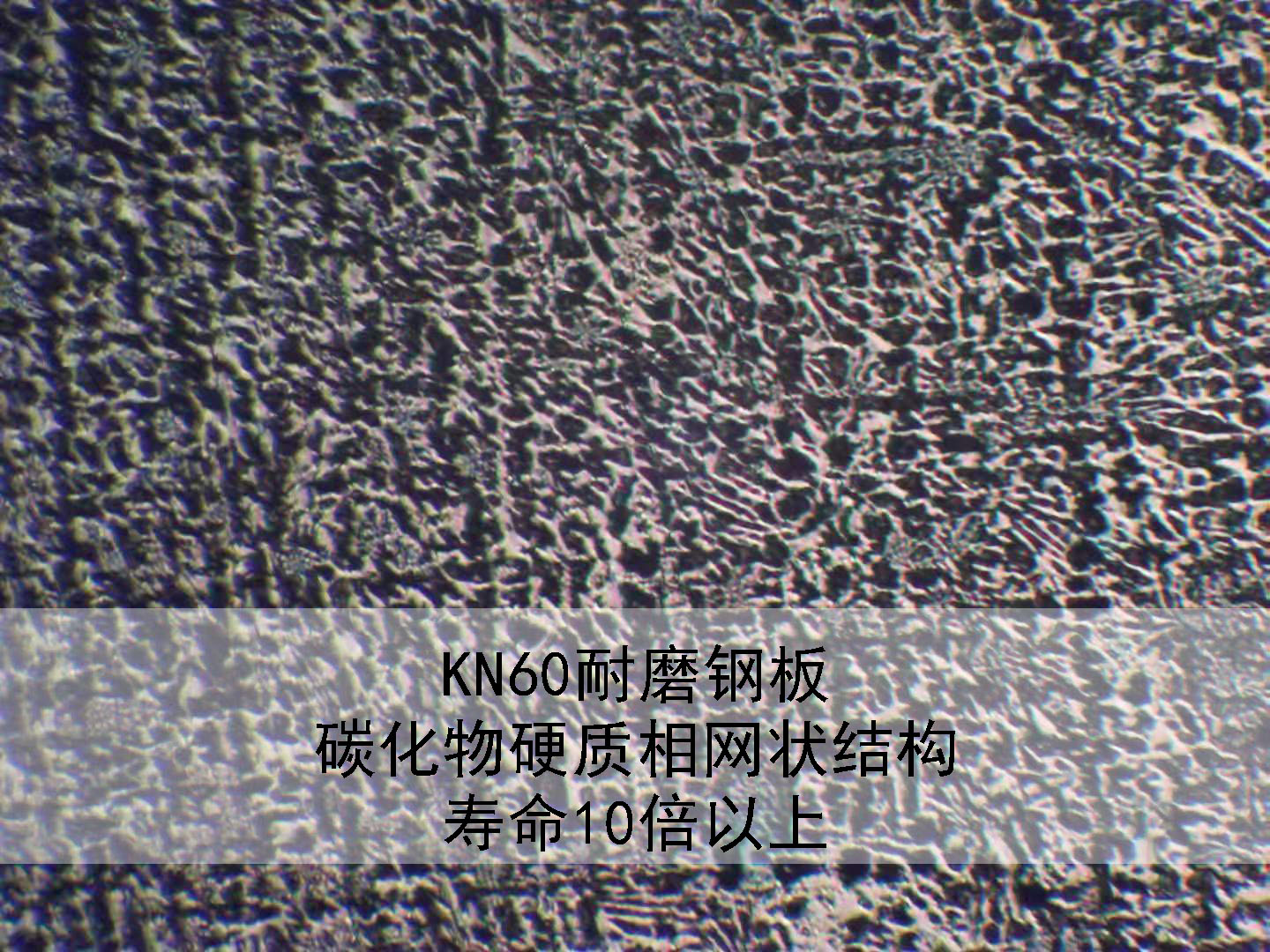 ĥͺ䓰KN60